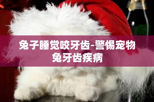 兔子睡覺咬牙齒-警惕寵物兔牙齒疾病