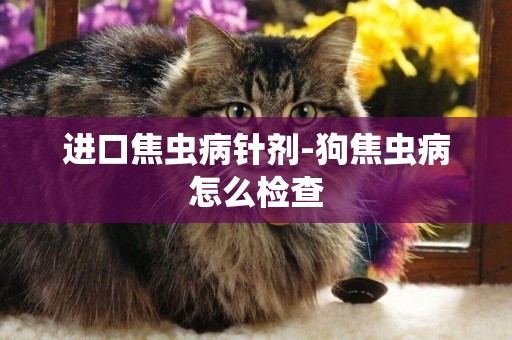 進口焦蟲病針劑-狗焦蟲病怎么檢查