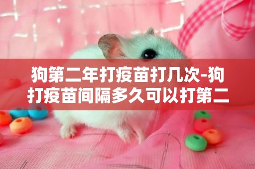 狗第二年打疫苗打幾次-狗打疫苗間隔多久可以打第二次
