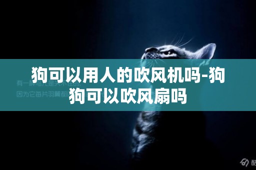 狗可以用人的吹風機嗎-狗狗可以吹風扇嗎
