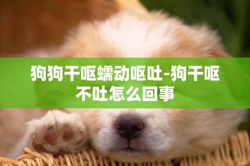 狗狗干嘔蠕動嘔吐-狗干嘔不吐怎么回事