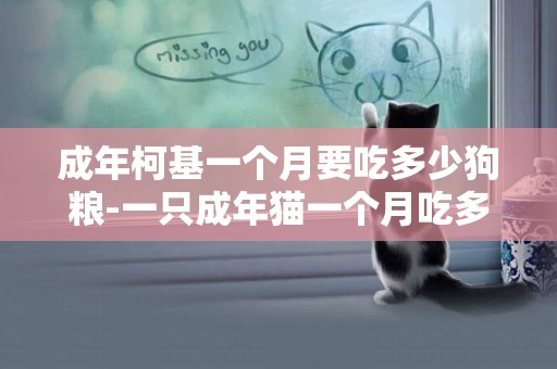 成年柯基一個月要吃多少狗糧-一只成年貓一個月吃多少貓糧