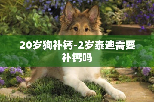 20歲狗補鈣-2歲泰迪需要補鈣嗎