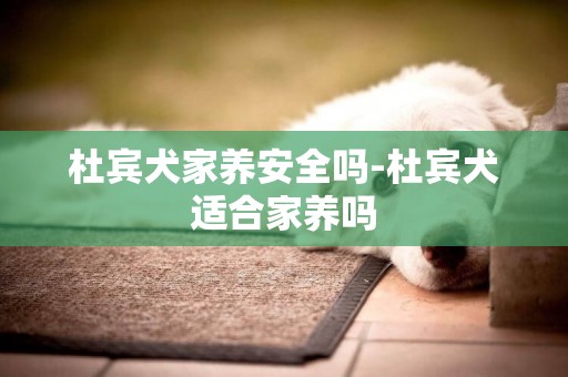 杜賓犬家養安全嗎-杜賓犬適合家養嗎