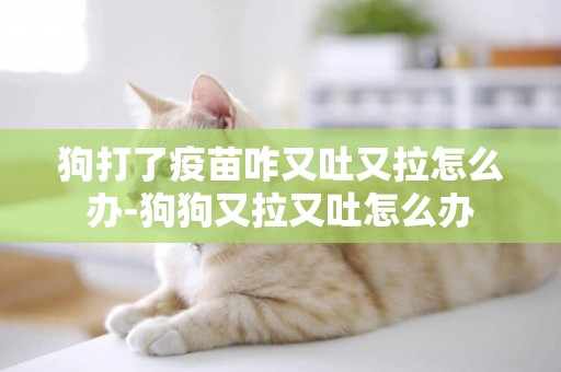 狗打了疫苗咋又吐又拉怎么辦-狗狗又拉又吐怎么辦