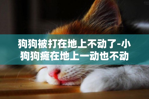 狗狗被打在地上不動了-小狗狗癱在地上一動也不動