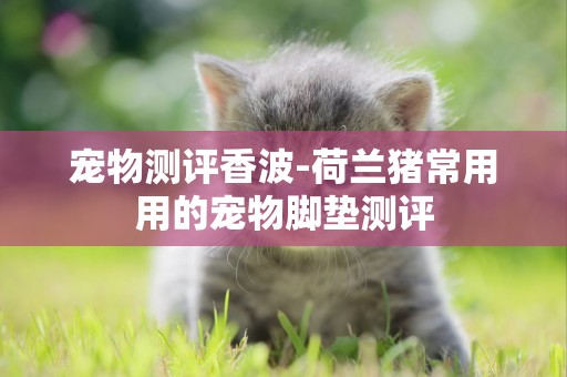 寵物測評香波-荷蘭豬常用用的寵物腳墊測評