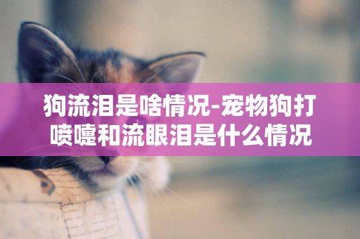 狗流淚是啥情況-寵物狗打噴嚏和流眼淚是什么情況