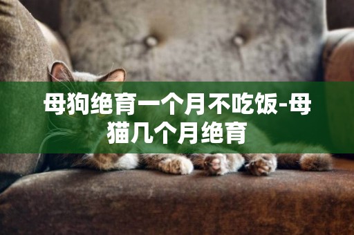 母狗絕育一個月不吃飯-母貓幾個月絕育