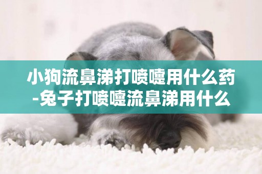 小狗流鼻涕打噴嚏用什么藥-兔子打噴嚏流鼻涕用什么藥