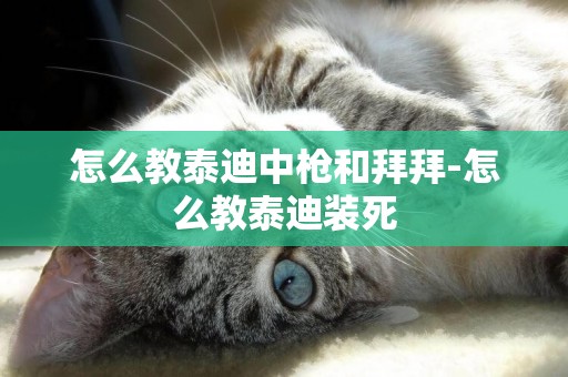 怎么教泰迪中槍和拜拜-怎么教泰迪裝死