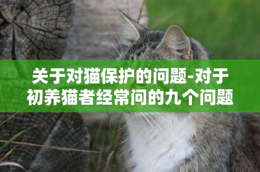 關于對貓保護的問題-對于初養貓者經常問的九個問題