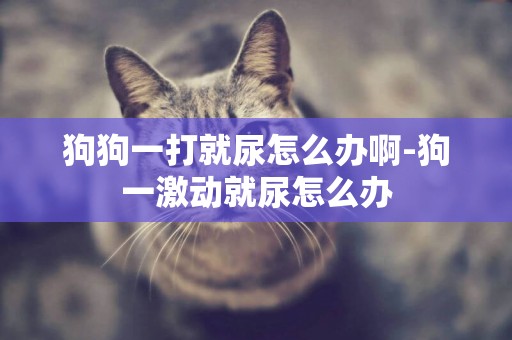 狗狗一打就尿怎么辦啊-狗一激動就尿怎么辦