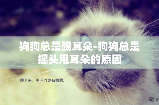 狗狗總是踢耳朵-狗狗總是搖頭甩耳朵的原因