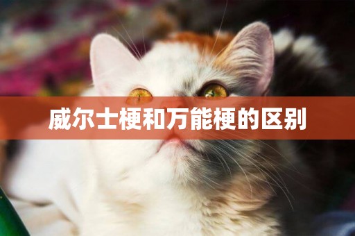 威爾士梗和萬能梗的區別