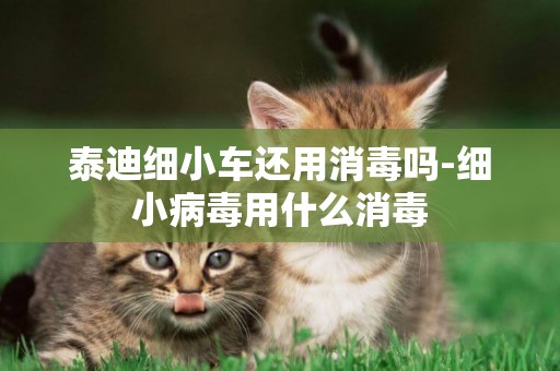 泰迪細小車還用消毒嗎-細小病毒用什么消毒
