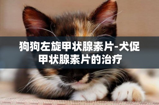 狗狗左旋甲狀腺素片-犬促甲狀腺素片的治療