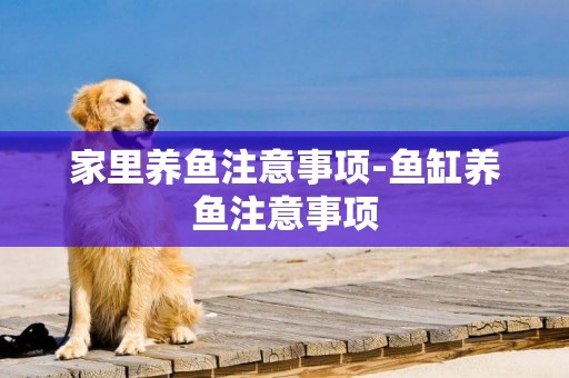 家里養魚注意事項-魚缸養魚注意事項