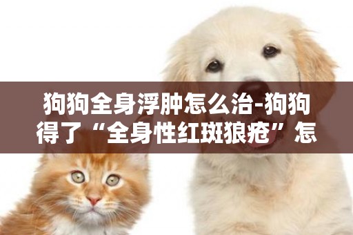 狗狗全身浮腫怎么治-狗狗得了“全身性紅斑狼瘡”怎么辦