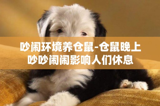 吵鬧環境養倉鼠-倉鼠晚上吵吵鬧鬧影響人們休息