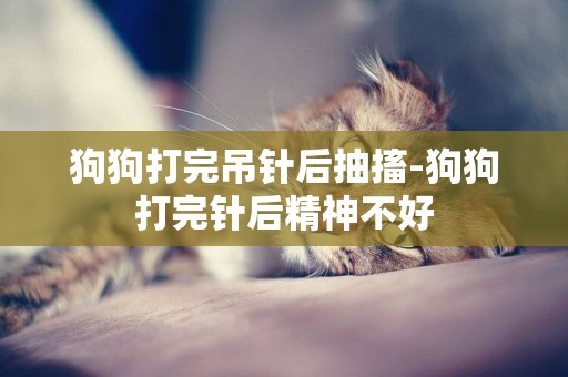狗狗打完吊針后抽搐-狗狗打完針后精神不好