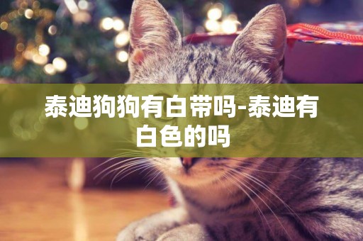 泰迪狗狗有白帶嗎-泰迪有白色的嗎