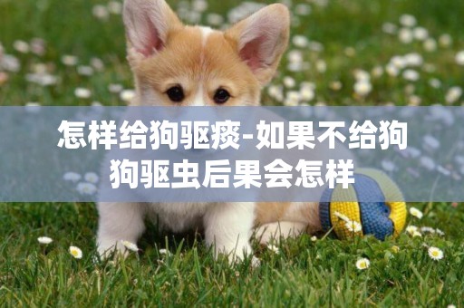 怎樣給狗驅痰-如果不給狗狗驅蟲后果會怎樣