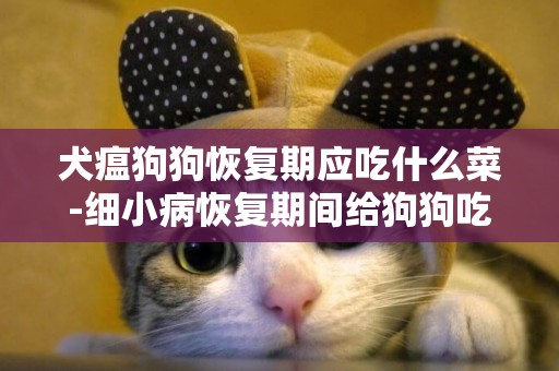 犬瘟狗狗恢復期應吃什么菜-細小病恢復期間給狗狗吃什么合適