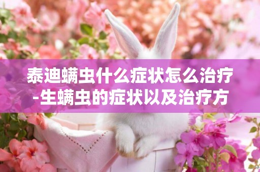 泰迪螨蟲什么癥狀怎么治療-生螨蟲的癥狀以及治療方法