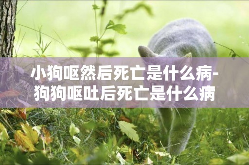 小狗嘔然后死亡是什么病-狗狗嘔吐后死亡是什么病
