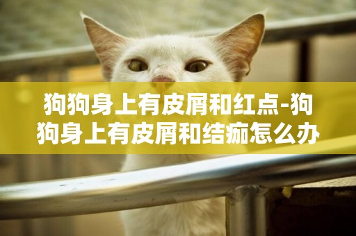 狗狗身上有皮屑和紅點-狗狗身上有皮屑和結痂怎么辦