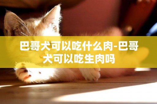 巴哥犬可以吃什么肉-巴哥犬可以吃生肉嗎