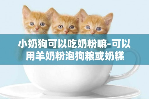 小奶狗可以吃奶粉嘛-可以用羊奶粉泡狗糧或奶糕