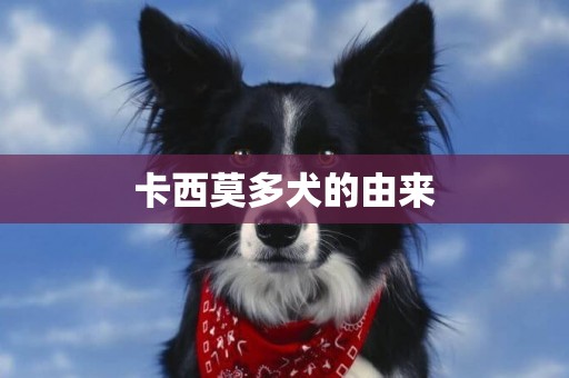 卡西莫多犬的由來