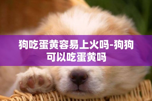 狗吃蛋黃容易上火嗎-狗狗可以吃蛋黃嗎