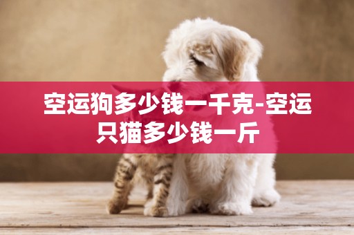 空運狗多少錢一千克-空運只貓多少錢一斤