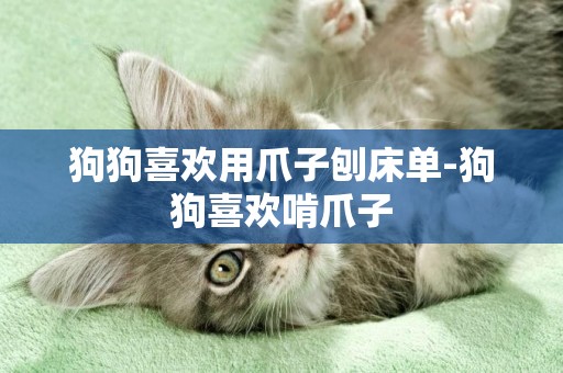 狗狗喜歡用爪子刨床單-狗狗喜歡啃爪子