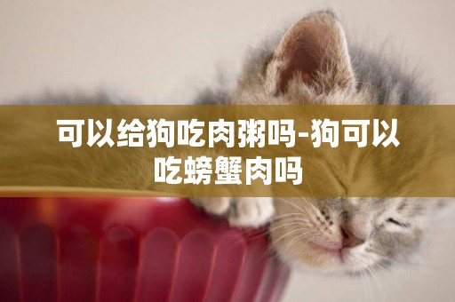可以給狗吃肉粥嗎-狗可以吃螃蟹肉嗎