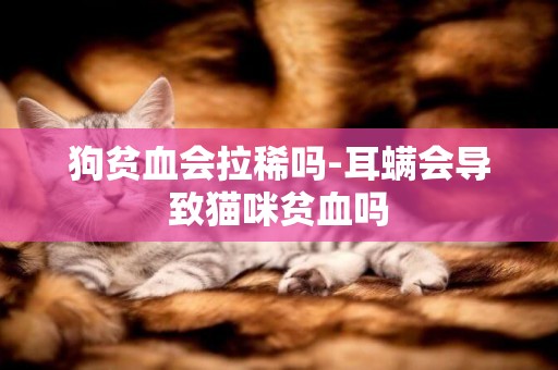 狗貧血會拉稀嗎-耳螨會導致貓咪貧血嗎