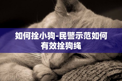 如何拴小狗-民警示范如何有效拴狗繩