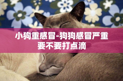 小狗重感冒-狗狗感冒嚴重要不要打點滴