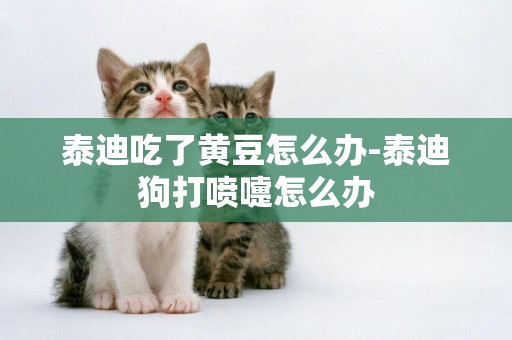 泰迪吃了黃豆怎么辦-泰迪狗打噴嚏怎么辦