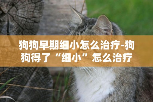 狗狗早期細小怎么治療-狗狗得了“細小”怎么治療