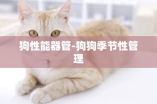 狗性能器管-狗狗季節性管理