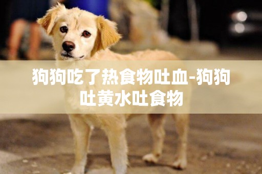 狗狗吃了熱食物吐血-狗狗吐黃水吐食物