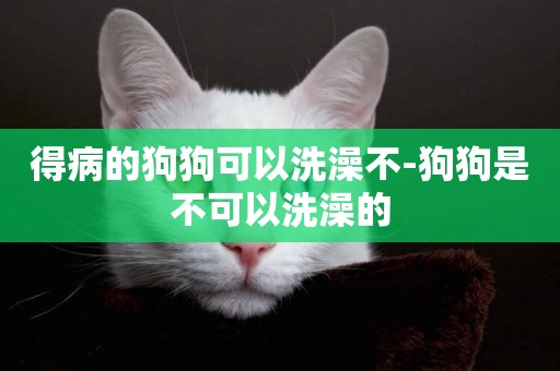 得病的狗狗可以洗澡不-狗狗是不可以洗澡的