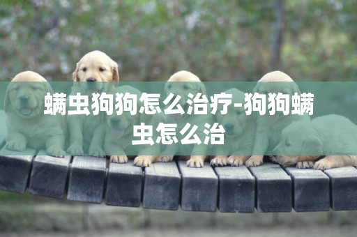 螨蟲狗狗怎么治療-狗狗螨蟲怎么治