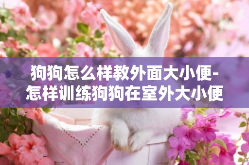 狗狗怎么樣教外面大小便-怎樣訓練狗狗在室外大小便