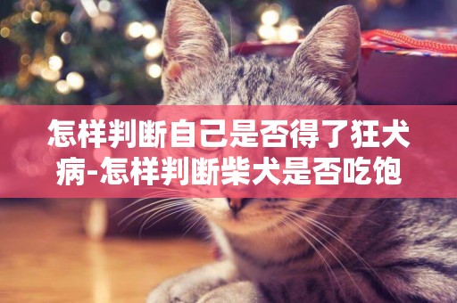 怎樣判斷自己是否得了狂犬病-怎樣判斷柴犬是否吃飽了