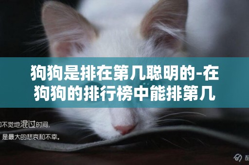 狗狗是排在第幾聰明的-在狗狗的排行榜中能排第幾